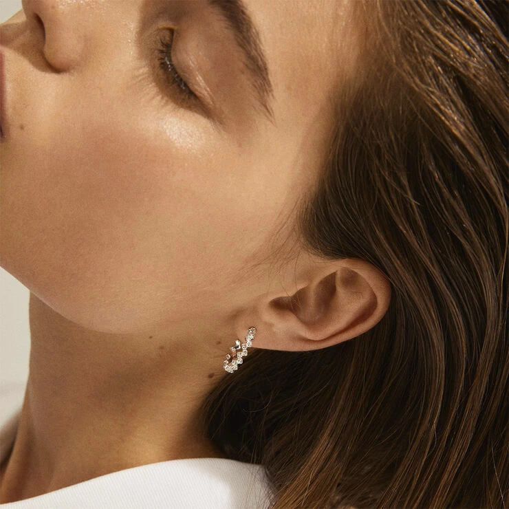 Pilgrim Øreringe : Jolene : Sølvbelagt : Kr - Billede 3