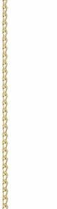 Kinz Kanaan Zalora Gold Plated Chain Earring